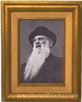 Rabbi Mordechai Katz Portrait